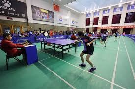 海纳：没注意到针对赫内斯的横幅；拜仁的章程比50+1严格