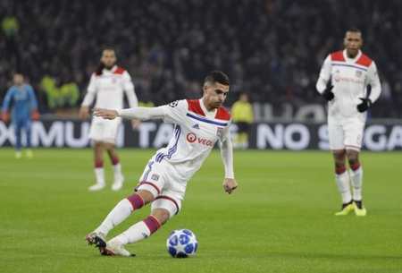 南特认为 南特认为