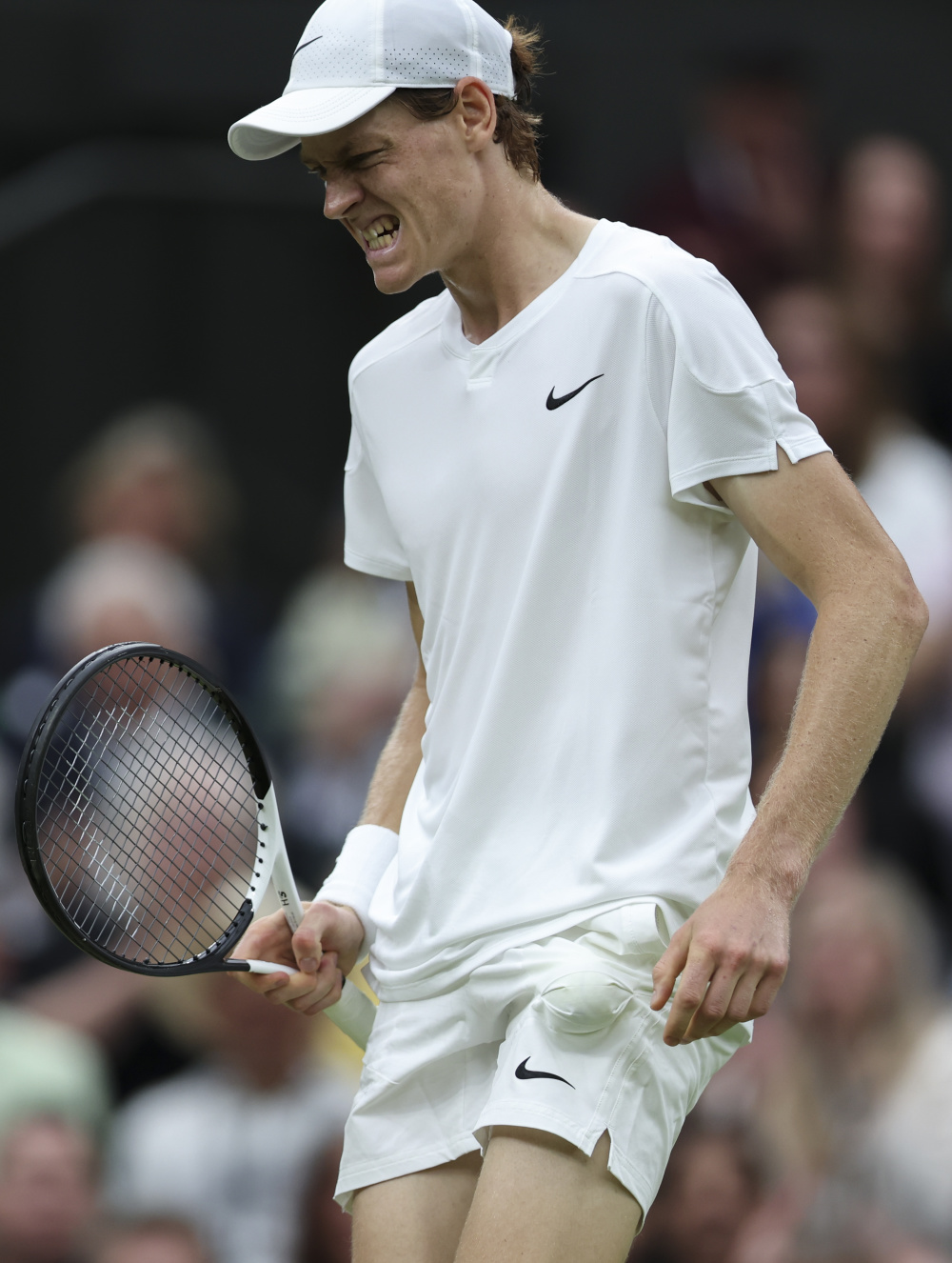 成功入选 成功入选