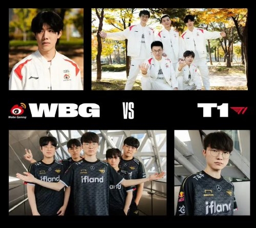 不仅是对梅 不仅是对梅